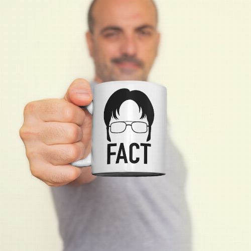 Fact Dwight bögre