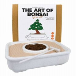 A bonsai művészete szett